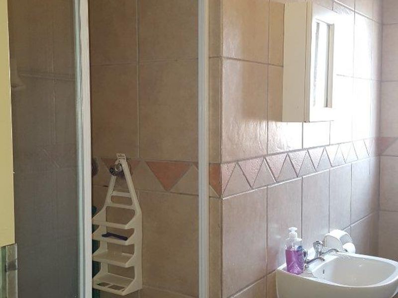 A functional bathroom featuring a pedestal basin, shower enclosure, and neutral ceramic tiling. The space would benefit from cosmetic updates and ceiling repairs.