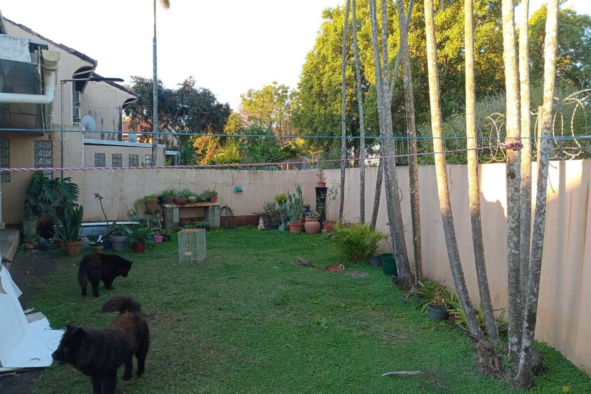 A private rear garden area featuring a lawn, established trees, and a perimeter boundary wall with security fencing.