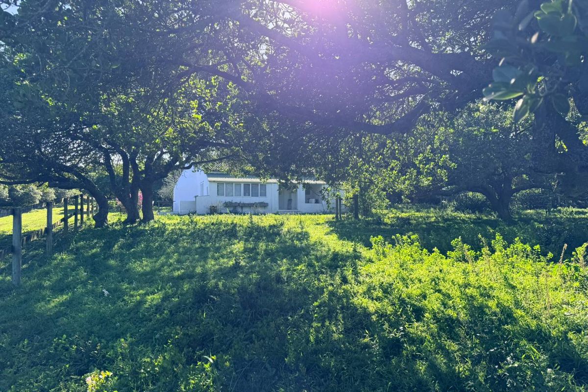 A view of a white farmhouse exterior nestled among mature trees, featuring a covered veranda and surrounding rural landscape.