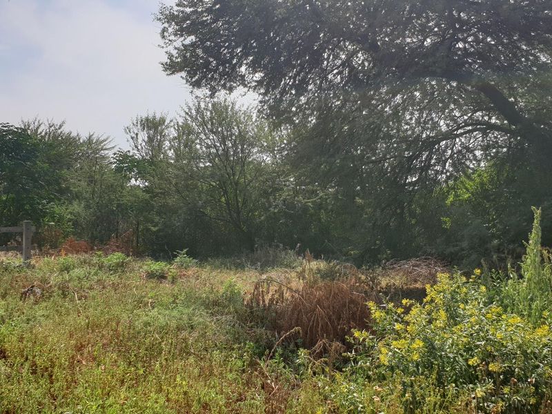 Land for Sale - Photo 3