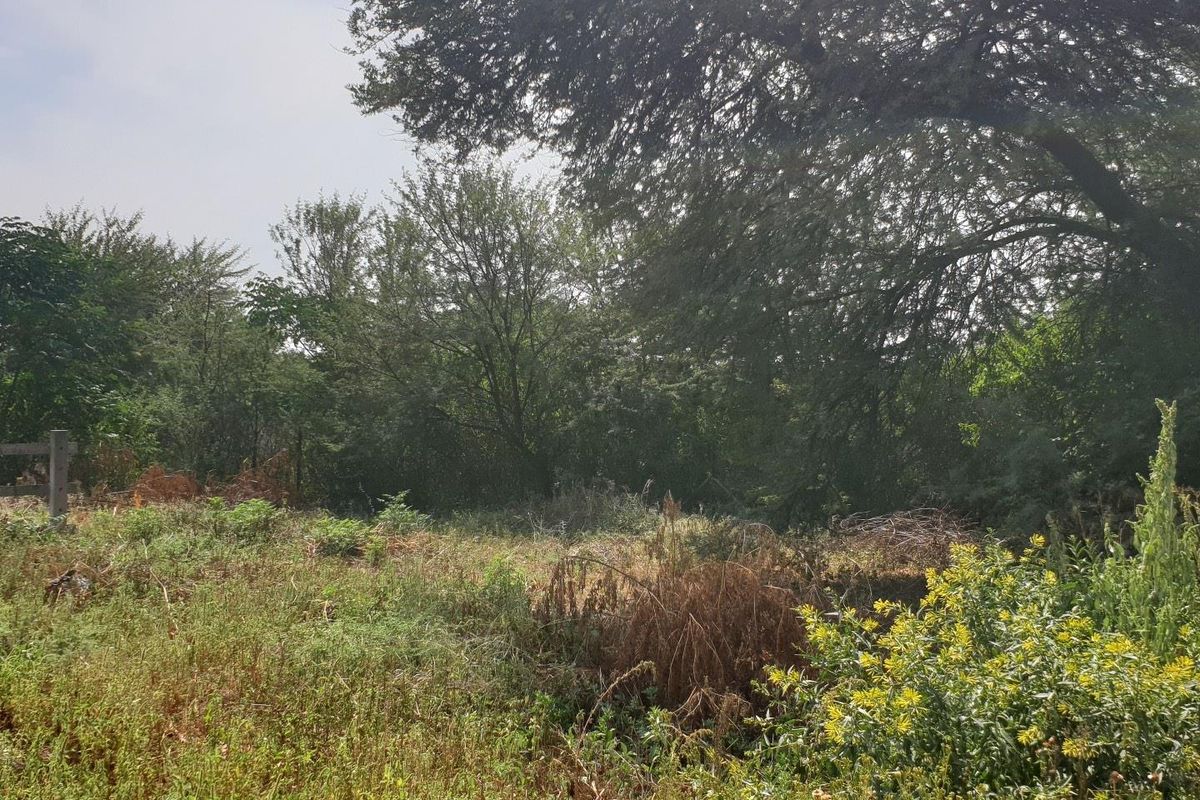 Land for Sale - Photo 3