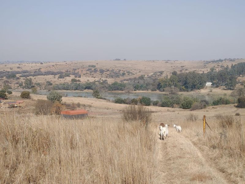 A wide-angle view of agricultural land featuring a dirt track, wire fencing, and a distant water body in a rural landscape.