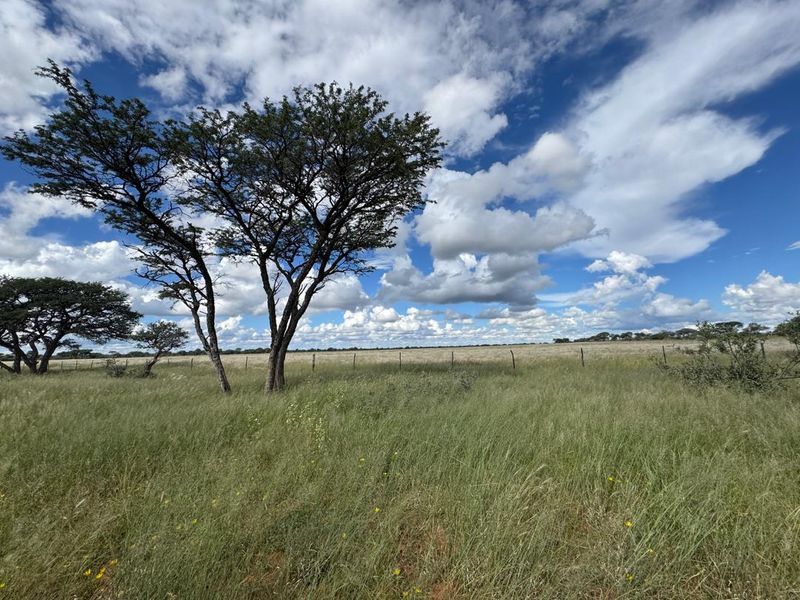 Discover this incredible 4500ha farm offering a perfect blend of modern infrastructure, abundant water resources, and rich wildlife - Photo 9