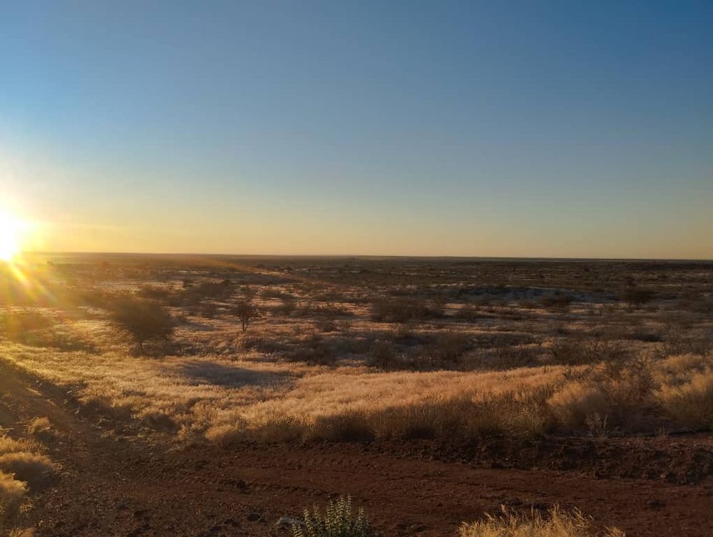 overview of farm land