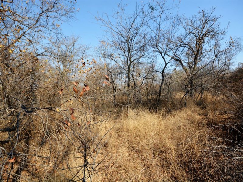 Vacant Land in MODITLO NATURE RESERVE - Photo 5