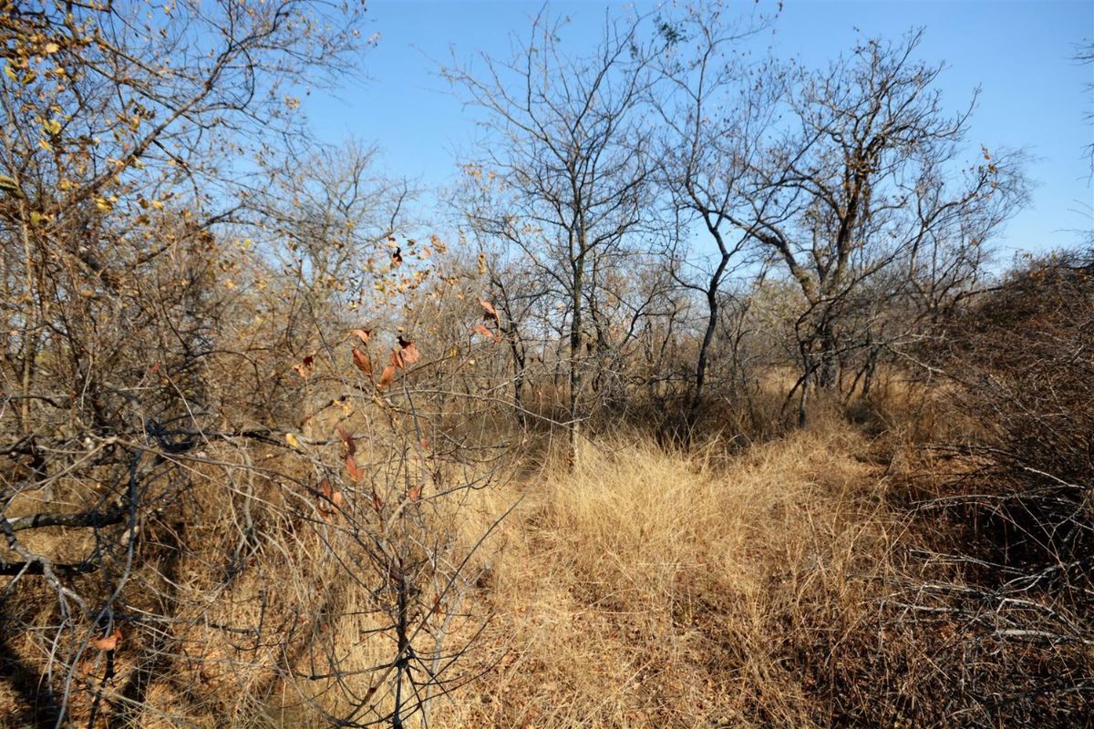Vacant Land in MODITLO NATURE RESERVE - Photo 5