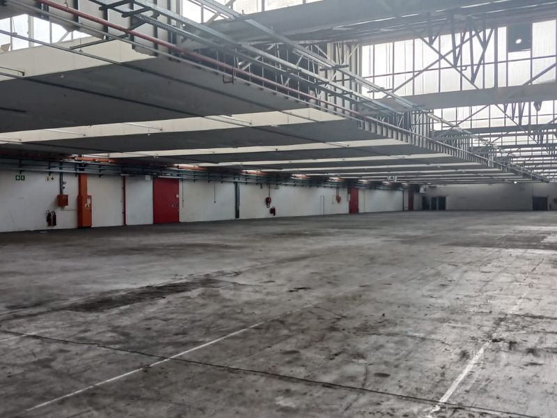 Expansive industrial warehouse space featuring high ceilings with exposed steel trusses, fire suppression systems, and durable concrete flooring suitable for storage or manufacturing.