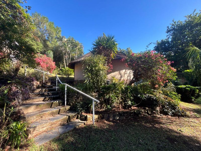 A charming cottage exterior featuring a traditional thatched roof, stone retaining walls, and a stone staircase with a metal handrail set in a garden.