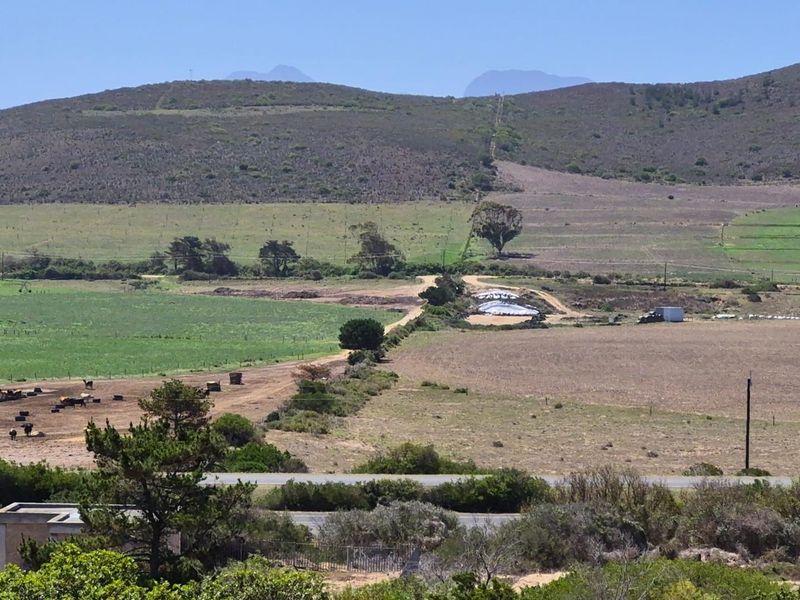 Prime North-Facing Stand in Reebok on the Garden Route - Photo 8