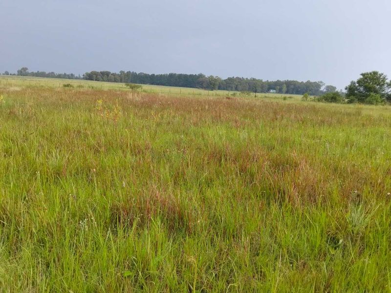 Build Your Dream Home in Serene Emerald Hill Estate! - Photo 3