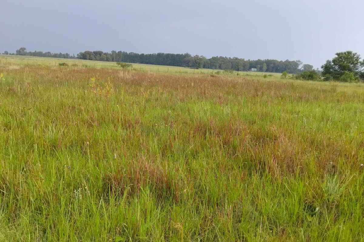 Build Your Dream Home in Serene Emerald Hill Estate! - Photo 3