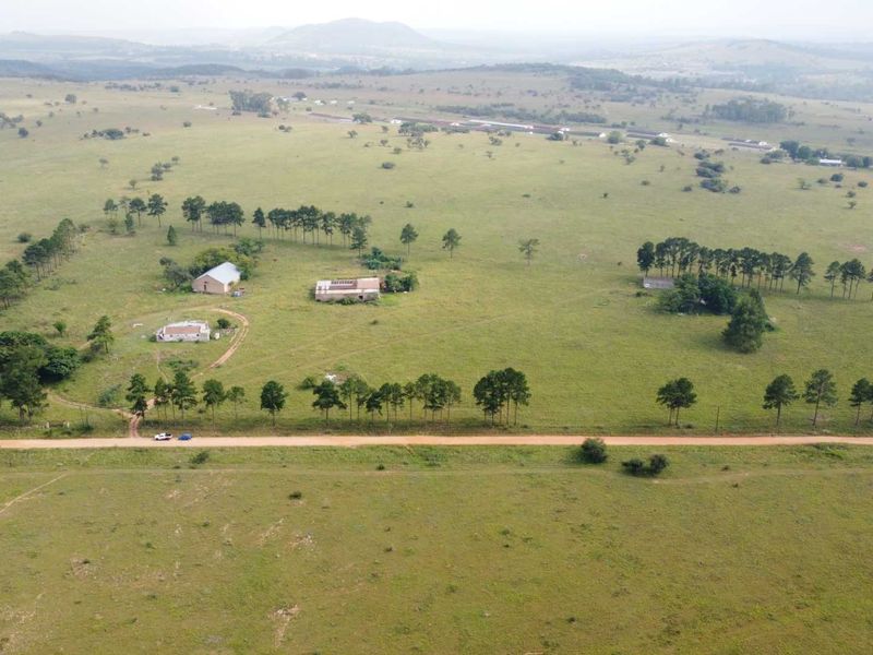 This Beautiful Stand/Farm is situated in the Heart of The Cradle of Humankind. - Photo 5