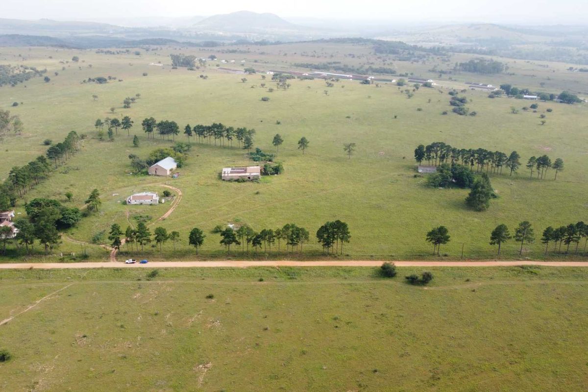 This Beautiful Stand/Farm is situated in the Heart of The Cradle of Humankind. - Photo 5