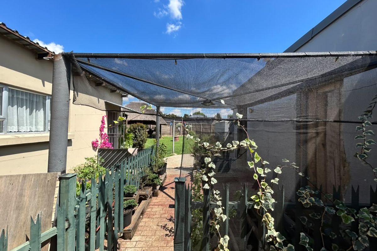Rear outdoor area featuring a paved walkway, picket fencing, and overhead shade netting structure.