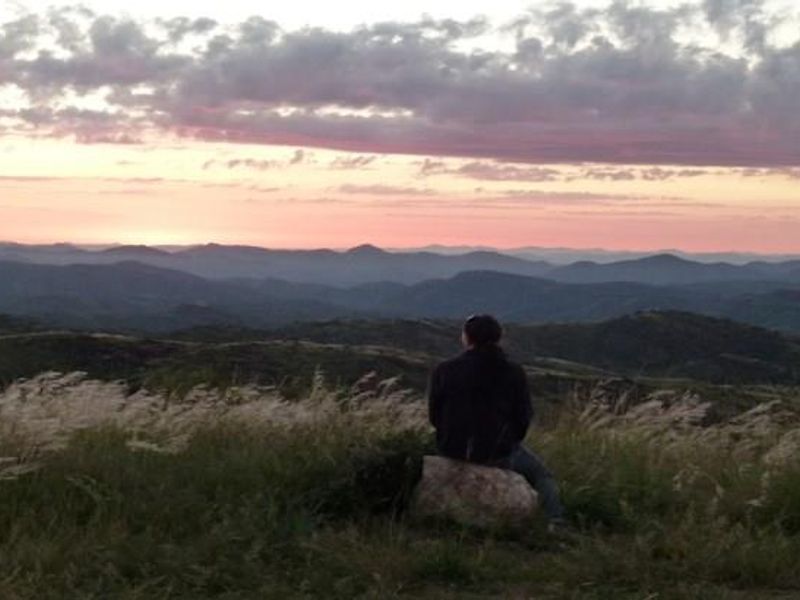 Guest Farm for Sale below Valuation - Photo 9