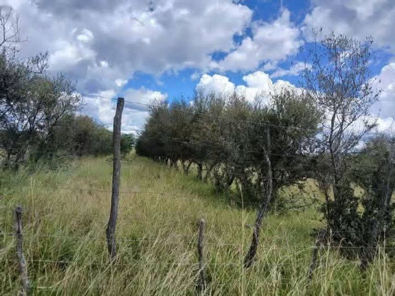 A view of agricultural land featuring natural vegetation and existing wire fencing with wooden posts.