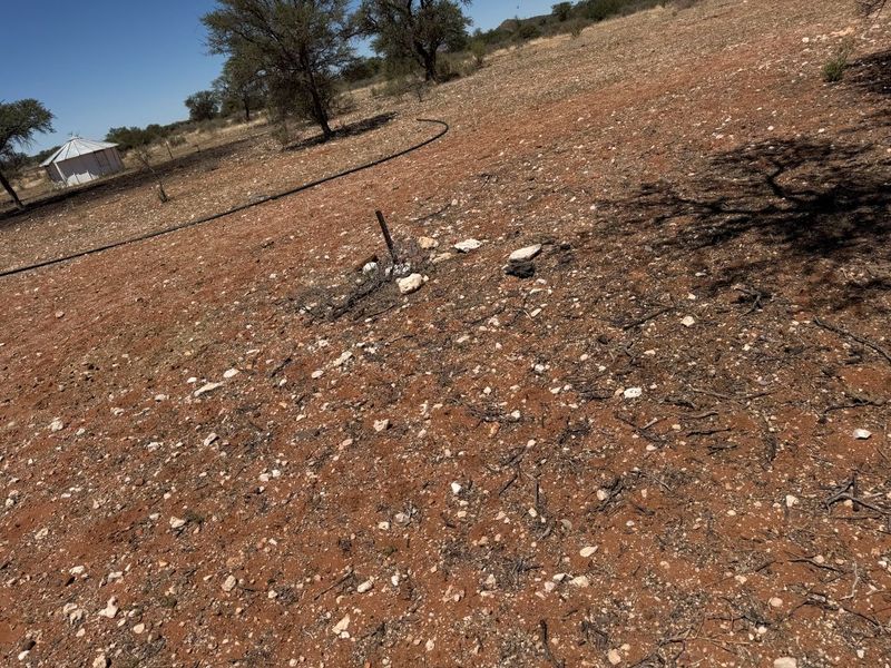 URGENT FARM SALE - Photo 10