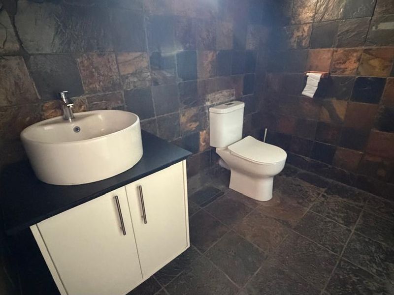 A bathroom featuring dark slate wall and floor tiles, a white vanity cabinet with a vessel sink, and a standard toilet.