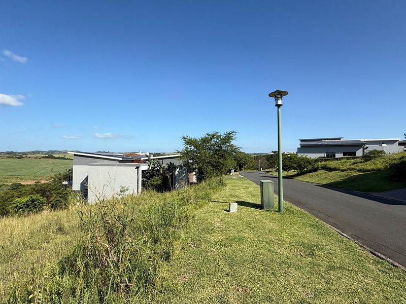 Vacant Land Palm Lakes Estate - Photo 3