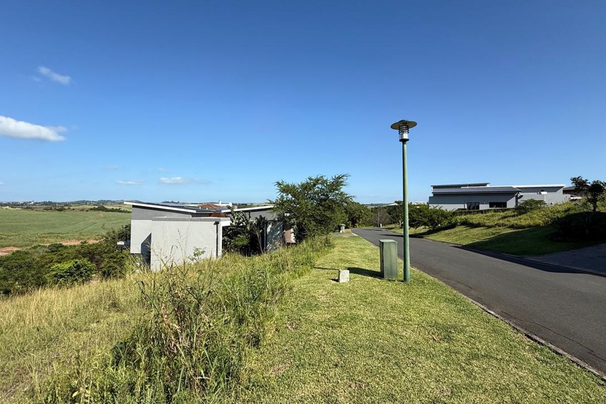 Vacant Land Palm Lakes Estate - Photo 3