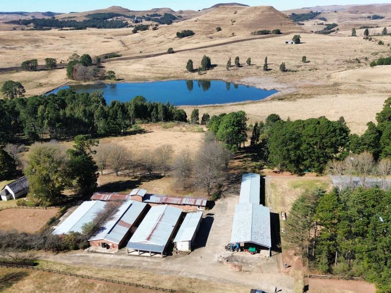 Aerial view of a farm property featuring multiple outbuildings with corrugated metal roofs, a paved driveway, and a scenic dam on the landscape.