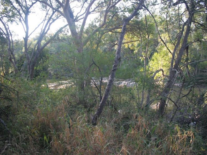 Alluring riverfront stand for sale. - Photo 3