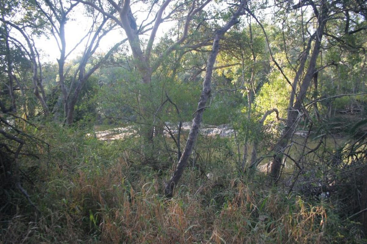 Alluring riverfront stand for sale. - Photo 3