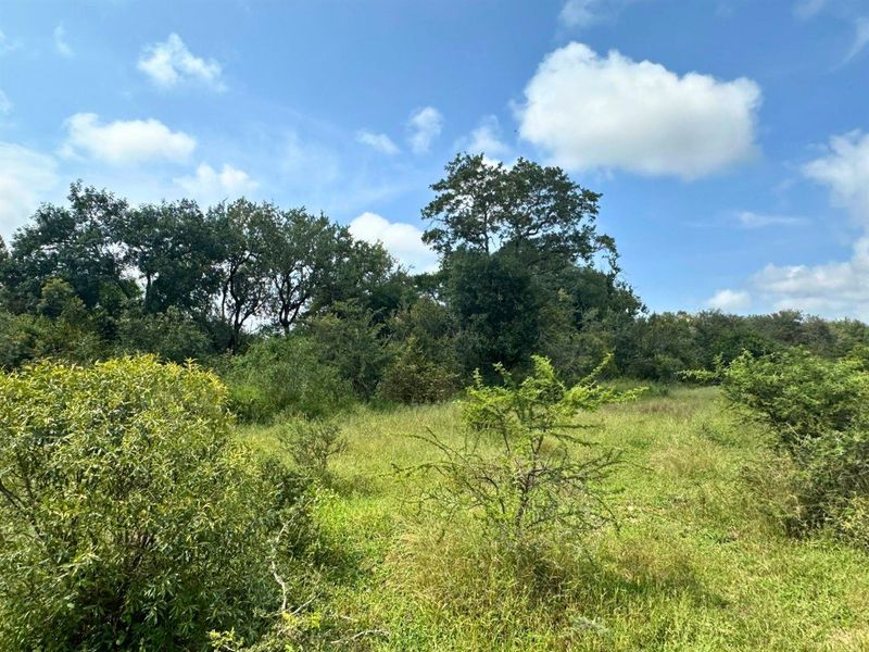 12,000 m2 Riverfront Stand in Moditlo Wildlife Estate - Photo 5