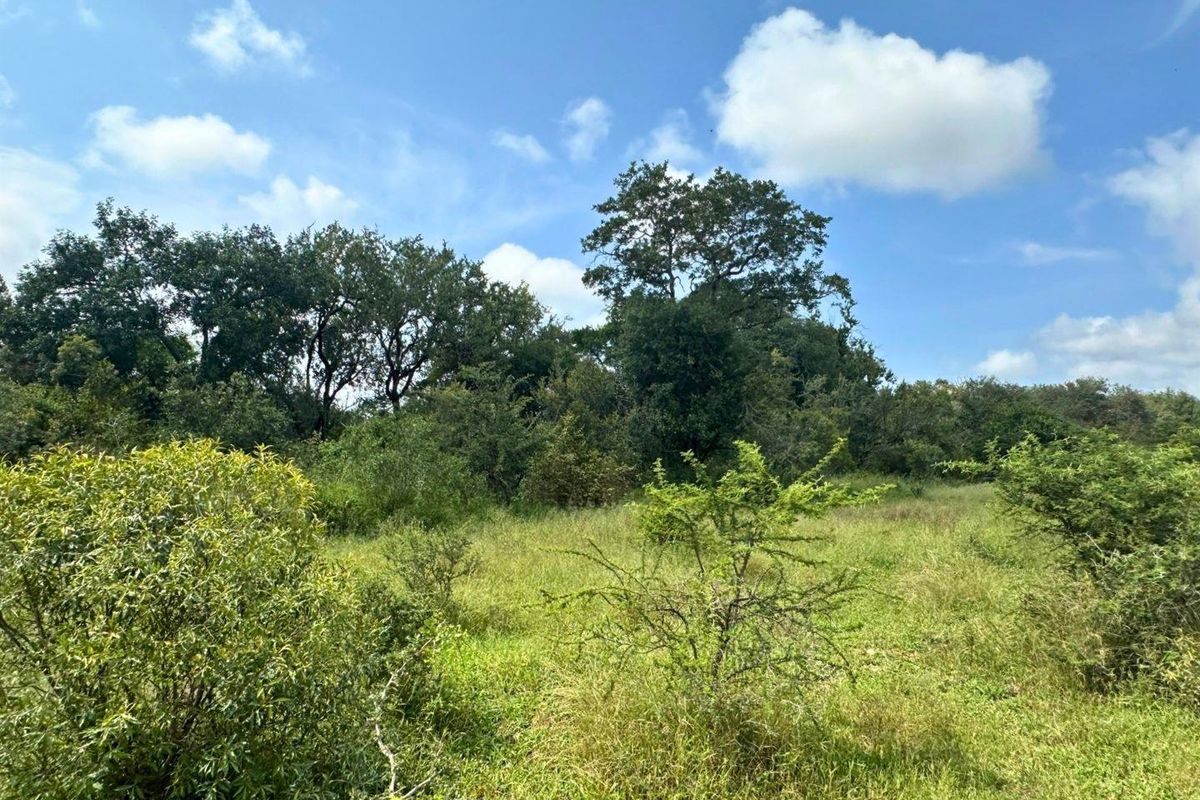12,000 m2 Riverfront Stand in Moditlo Wildlife Estate - Photo 5