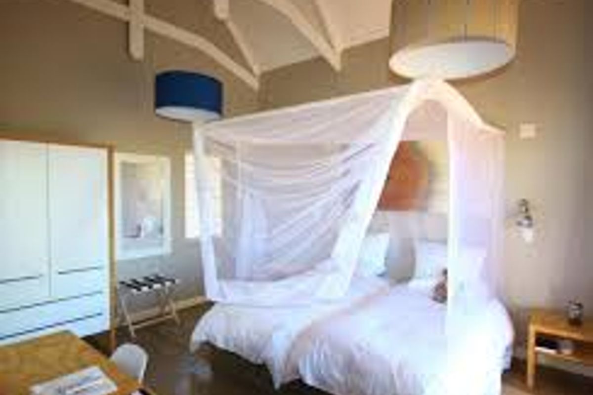 A spacious bedroom featuring a high vaulted ceiling with exposed timber beams, neutral wall finishes, and a built-in wardrobe.