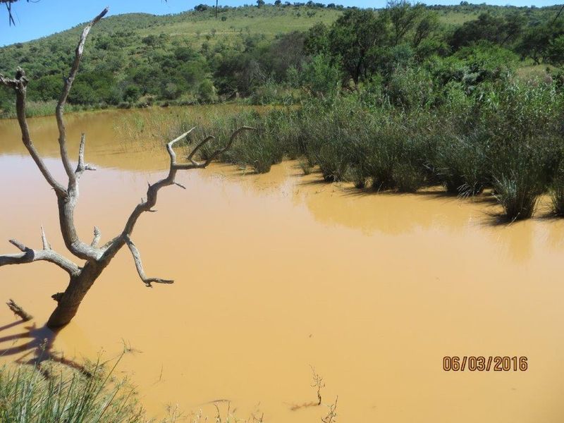 STUNNING GAME FARM FOR SALE IN OHRIGSTAD, LIMPOPO - Photo 10