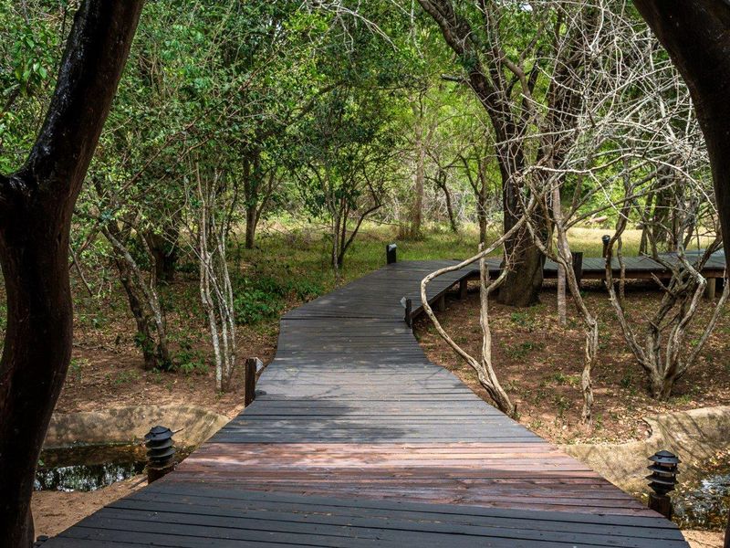 A scenic wooden boardwalk winds through a lush, wooded garden area, featuring integrated low-level lighting along the path.