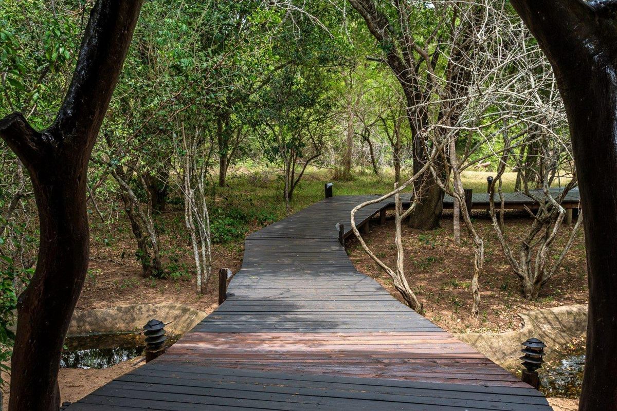 A scenic wooden boardwalk winds through a lush, wooded garden area, featuring integrated low-level lighting along the path.