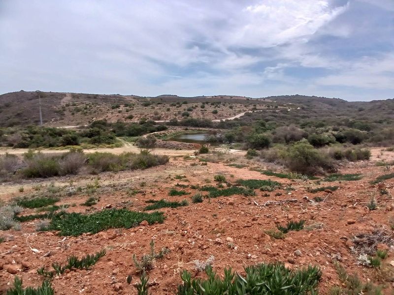 Exclusive 500m2 Stand with Dam Views in Outeniquasbosch Wildlife Estate - Photo 4