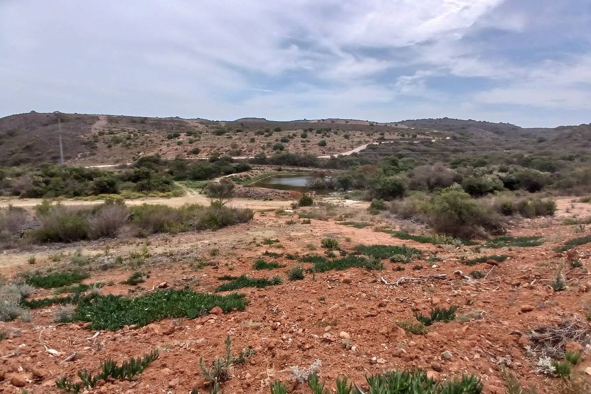 Exclusive 500m2 Stand with Dam Views in Outeniquasbosch Wildlife Estate - Photo 4