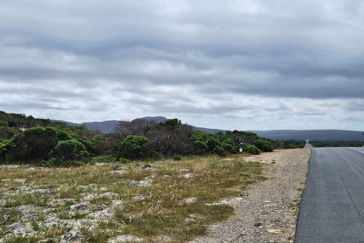 Exceptional Vacant Land for Sale in Pearly Beach - Photo 4