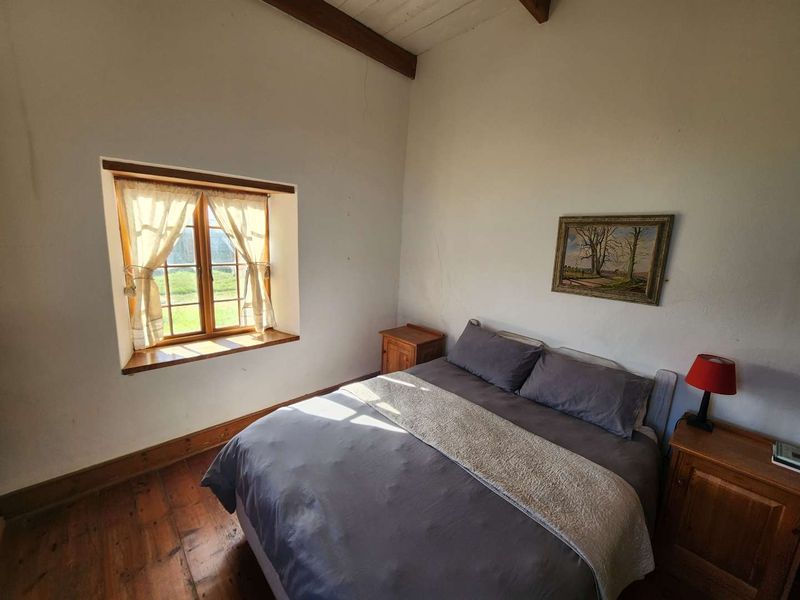 SEAFRONT FARM WITH RESORT ZONING - Photo 8