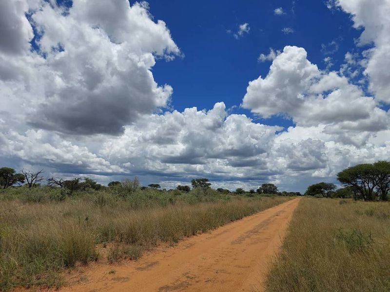 FOR SALE - Farm in the Steinhausen/Hochfeld area - Photo 3