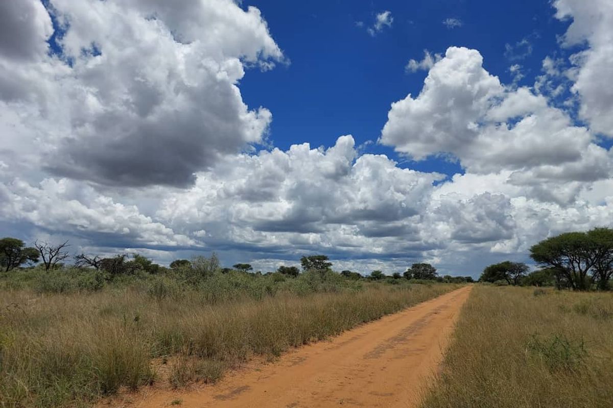 FOR SALE - Farm in the Steinhausen/Hochfeld area - Photo 3