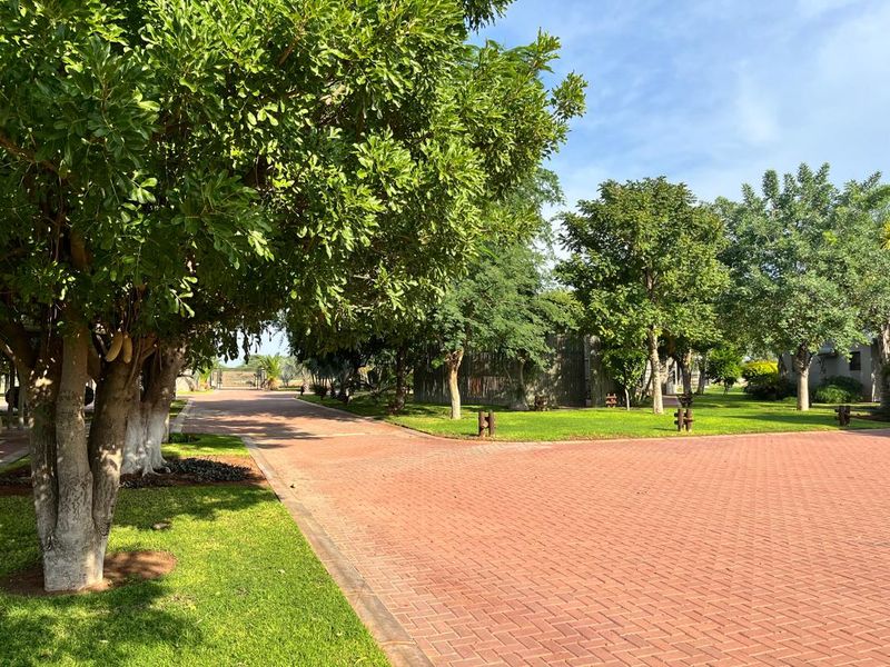 Exclusive Safari Lodge Near Etosha National Park - Photo 6