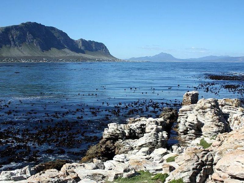 Rare Opportunity to secure Prime Land! - Photo 7