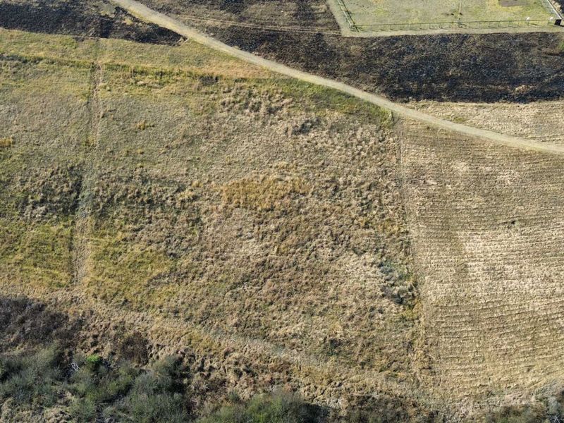 An aerial view of a large, undeveloped residential plot featuring natural vegetation and a dirt access track.