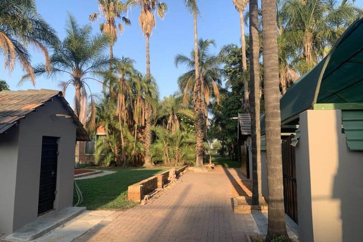 A landscaped garden area featuring a paved walkway, mature palm trees, and a small outbuilding with a tiled roof.