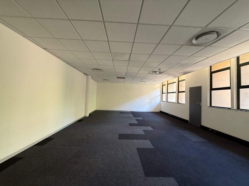 A spacious, empty office area featuring a suspended ceiling, recessed lighting, large windows for natural light, and durable carpet tile flooring.
