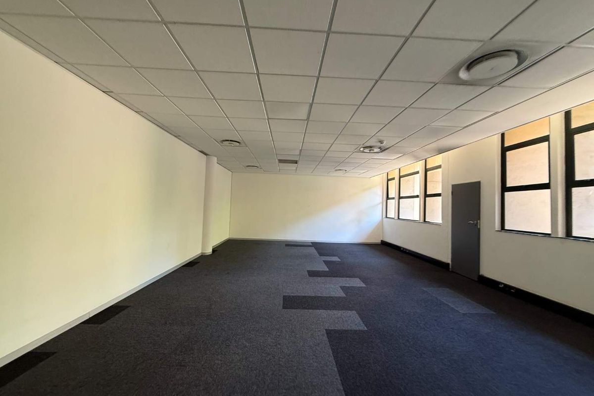 A spacious, empty office area featuring a suspended ceiling, recessed lighting, large windows for natural light, and durable carpet tile flooring.