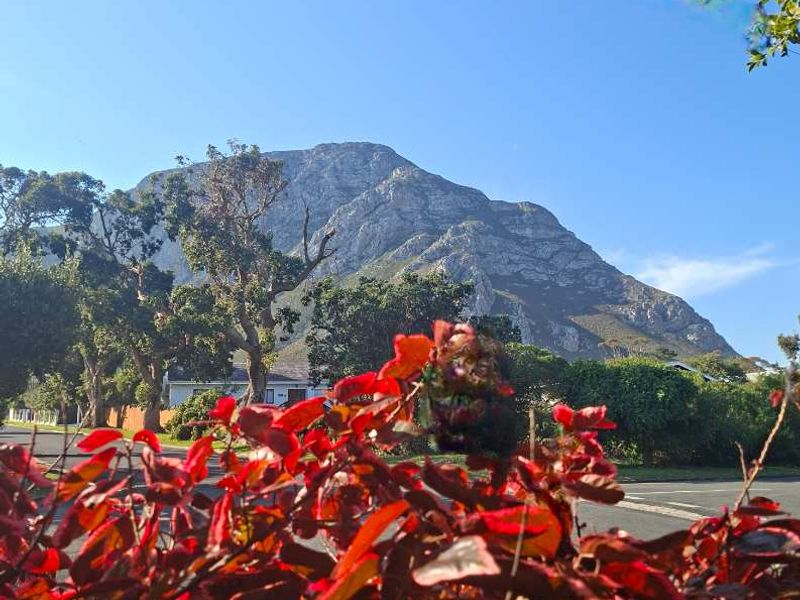 EXCELLENTLY POSITIONED HOME ON A DOUBLE STAND!! - Photo 2
