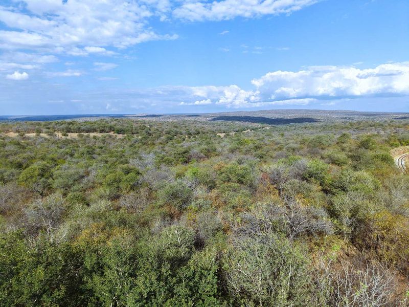 Boutique Farm in the Hoedspruit Area - Photo 1