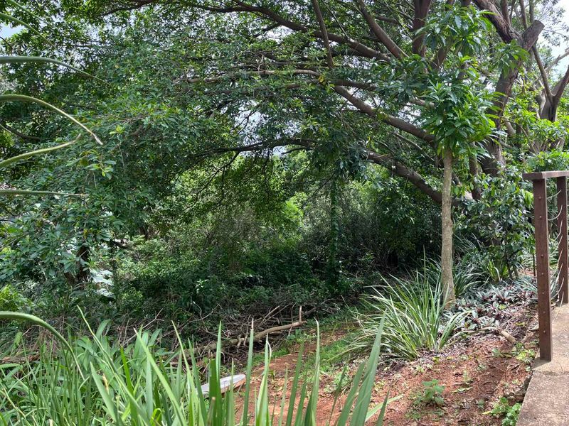 Vacant Land for Sale in Zimbali – 1,252sqm of Prime Coastal Living - Photo 5