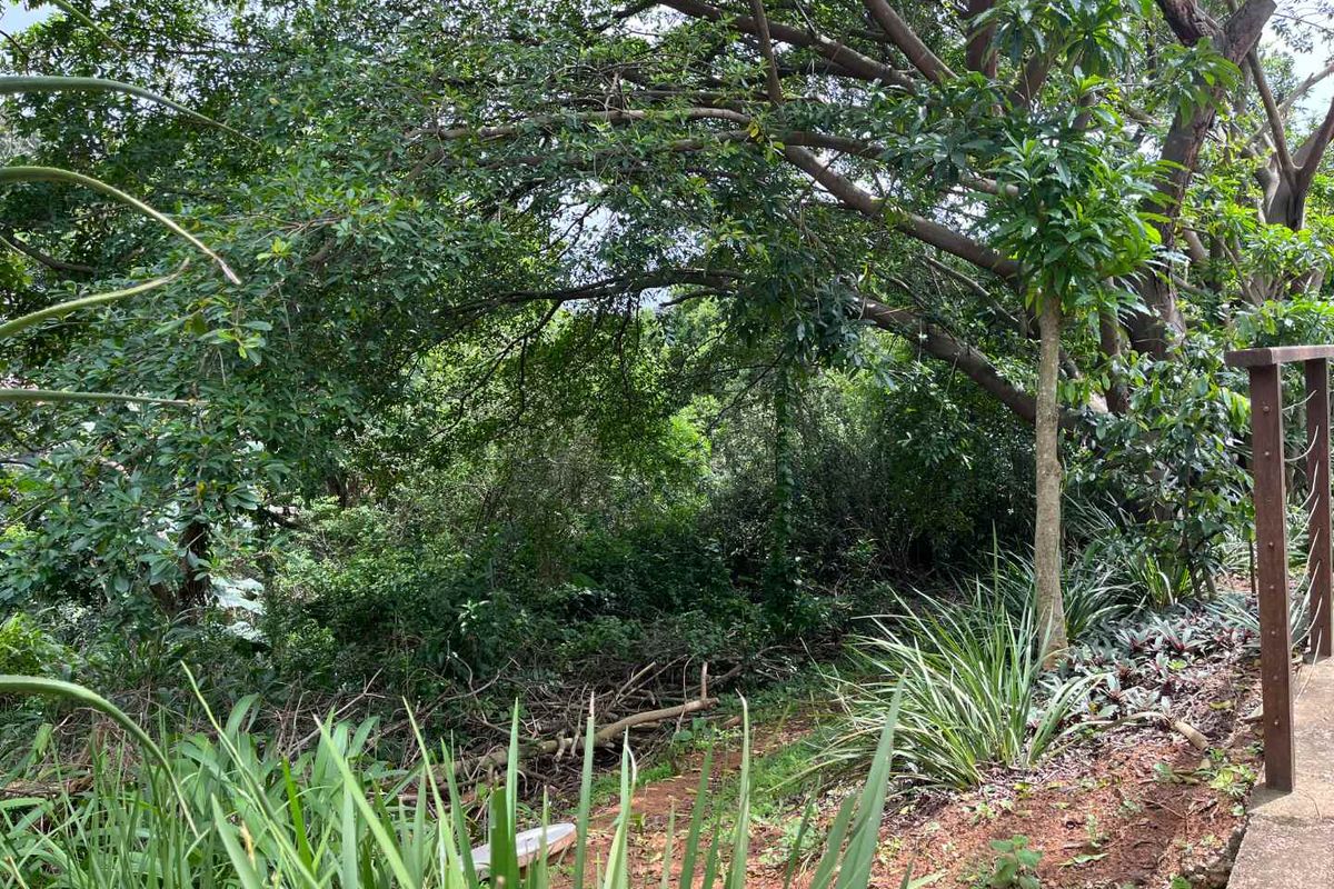 Vacant Land for Sale in Zimbali – 1,252sqm of Prime Coastal Living - Photo 5