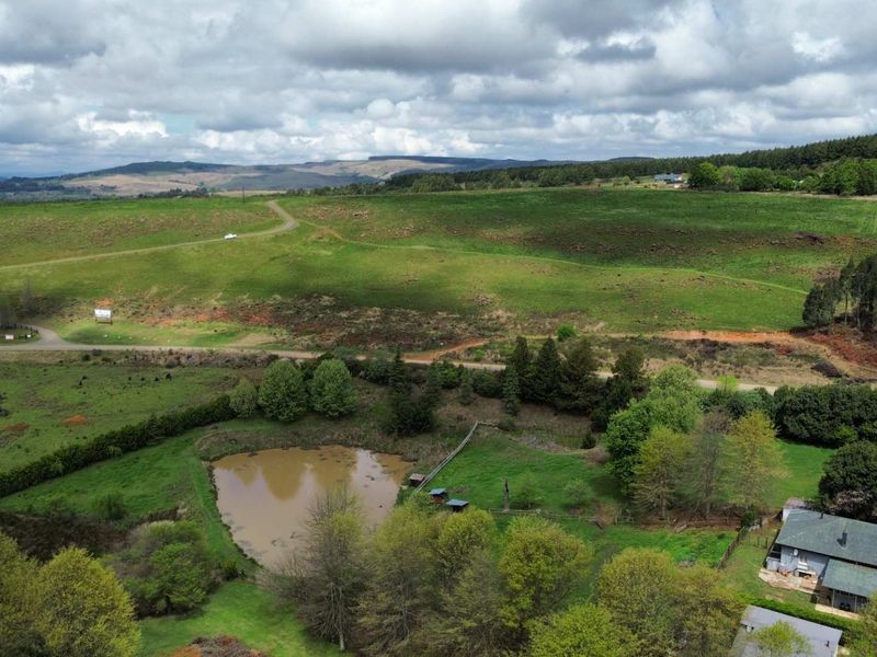 An aerial view of a large residential vacant land plot featuring a natural pond, established trees, and surrounding rolling hills.